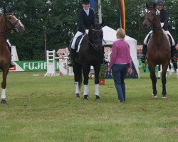 dressage horse Halifax 86 (Hannoveraner, 2004, from His Highness)