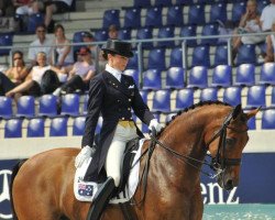 dressage horse Potifar (KWPN (Royal Dutch Sporthorse), 1997, from Jazz)