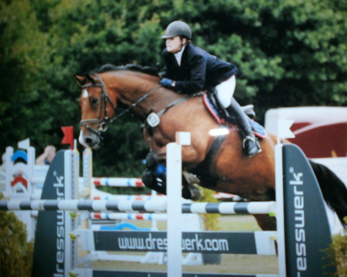 Springpferd Fred Feuerstein 37 (Holsteiner, 2002, von Lancer II)