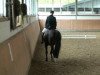 dressage horse Sunshine Romance (Westphalian, 2003, from Show Star)