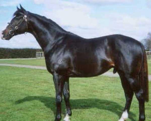 stallion Colombia xx (Thoroughbred, 1996, from Zabeel xx)