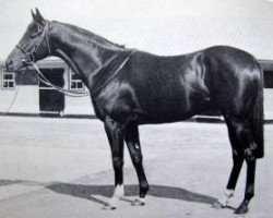 stallion Pieces Of Eight II xx (Thoroughbred, 1963, from Relic xx)