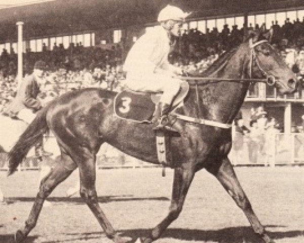 broodmare Riches xx (Thoroughbred, 1967, from Agricola xx)