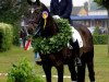 dressage horse Petit Pompidou TSF (Trakehner, 2005, from Latimer)