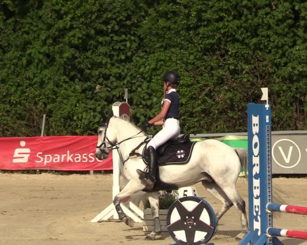 Reitturnier Fröndenberg 2022