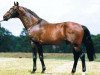 stallion Germus R (KWPN (Royal Dutch Sporthorse), 1988, from Joost)