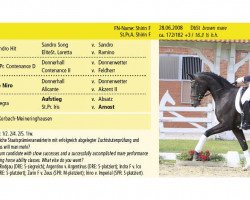 broodmare Shirin F (Hanoverian, 2008, from Sir Donnerhall I)