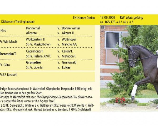 dressage horse Darian (Hanoverian, 2009, from Desperados FRH)