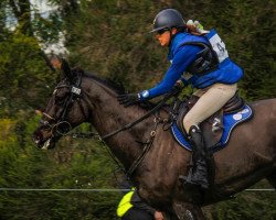 jumper Balou Jeanz (New Zealand Warmblood, 2010, from Balou du Rouet)