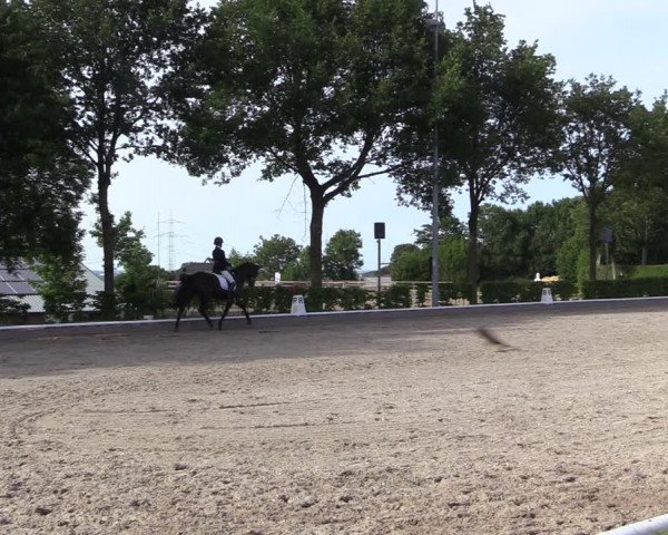 Reitturnier Fröndenberg 2022