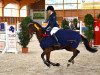 jumper Make it SG (German Riding Pony, 2004, from Mentos)