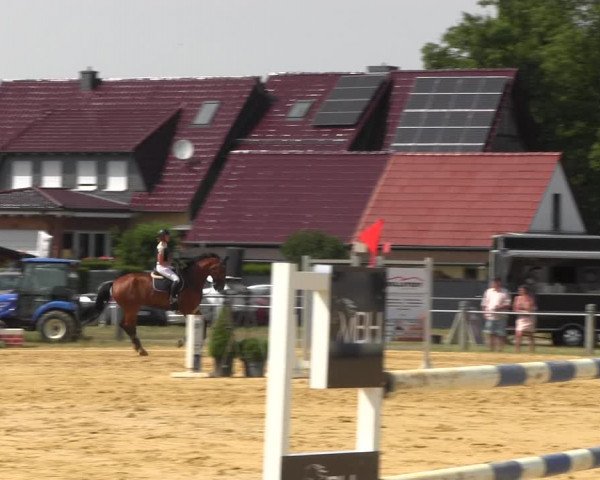 Reitturnier Dingelstädt 2022