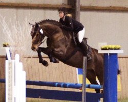 jumper Skylar Quin (Hanoverian, 2017, from Szenario)