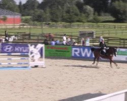 jumper Frederik 108 (Belgian Warmblood, 2005, from Perhaps van het Molenvondel)