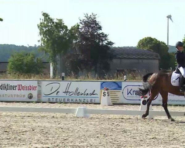Reitturnier Rot am See- Musdorf 2022