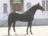 horse Pasternak (Rhinelander, 1971, from Patron)
