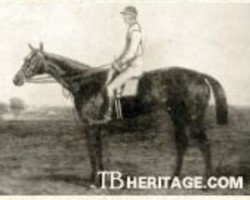 broodmare Pilgrimage xx (Thoroughbred, 1875, from The Palmer xx)