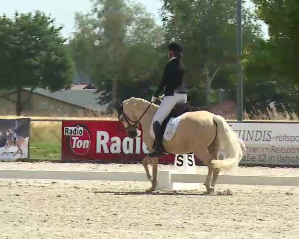 Reitturnier Rot am See- Musdorf 2022