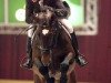 stallion Upgrade (KWPN (Royal Dutch Sporthorse), 2001, from Heartbreaker)