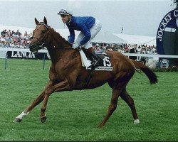 stallion Marignan xx (Thoroughbred, 1989, from Blushing Groom xx)