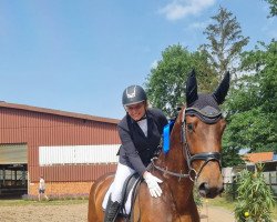 dressage horse Soul Dance UF (Oldenburg, 2015, from Bordeaux 28)