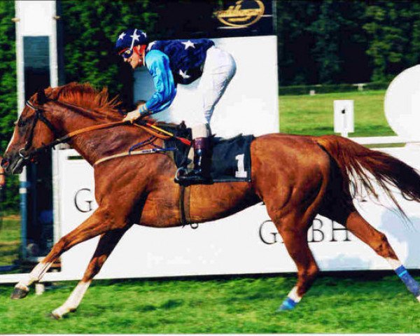 broodmare Shire Call xx (Thoroughbred, 1996, from Zinaad xx)