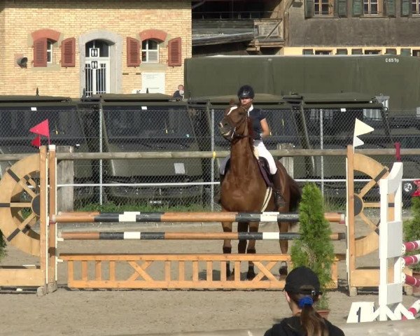 Reitturnier Sand-Schönbühl 2022