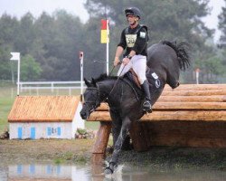 jumper Quimbo (Spanish Sport Horse, 2003, from Lacros)