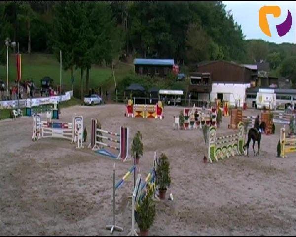 jumper Chenaika (Hessian Warmblood, 2004, from Cheenook)