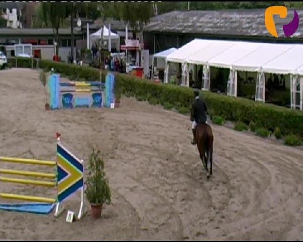 jumper Lefino (Westphalian, 2005, from Lissabon 29)