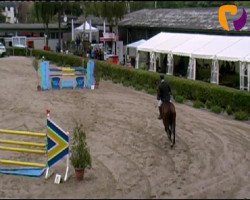 jumper Lefino (Westphalian, 2005, from Lissabon 29)