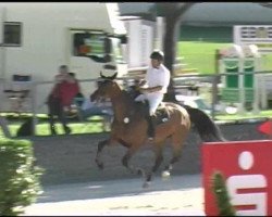 jumper Salome (Hanoverian, 1995, from Sandro Song)