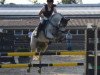 jumper Vanilla Sky 36 (German Riding Pony, 2008, from Vincent)