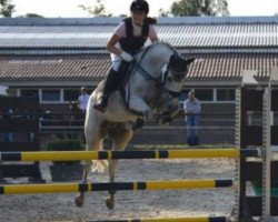 jumper Vanilla Sky 36 (German Riding Pony, 2008, from Vincent)