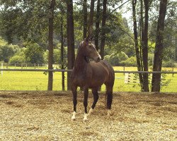 horse Paradise (Bavarian, 2004, from Rivero III)