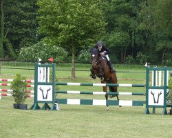 Springpferd Libran (KWPN (Niederländisches Warmblut), 2016, von Grand Slam VDL)