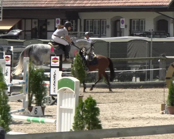 Reitturnier Sand-Schönbühl 2022