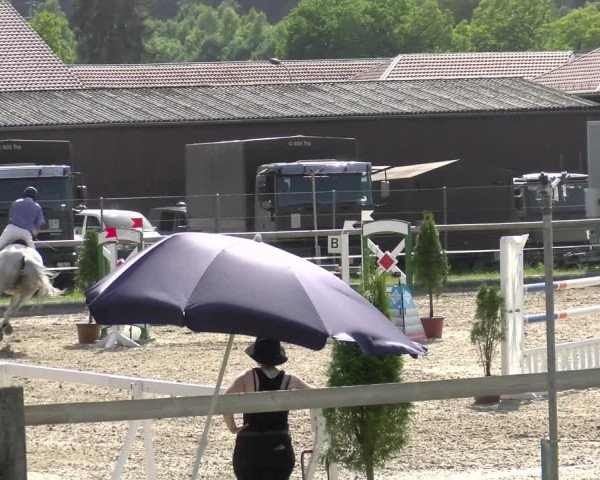 Reitturnier Sand-Schönbühl 2022
