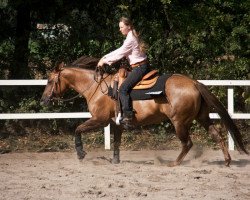 Pferd Peppys Red Darling (Paint Horse, 2000, von Peppy Red Sangiro)