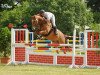 dressage horse Deichgraf 92 (Bavarian, 2001, from Day Dream)