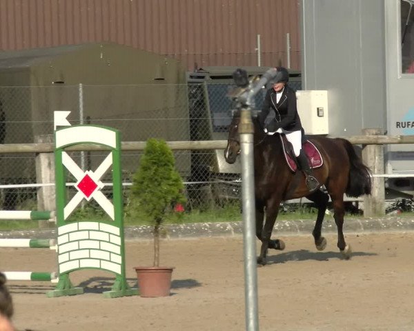 Reitturnier Sand-Schönbühl 2022