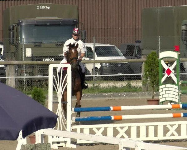 Reitturnier Sand-Schönbühl 2022
