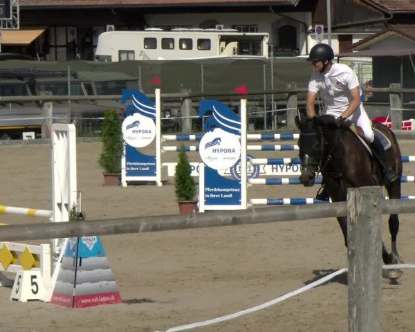 Reitturnier Sand-Schönbühl 2022