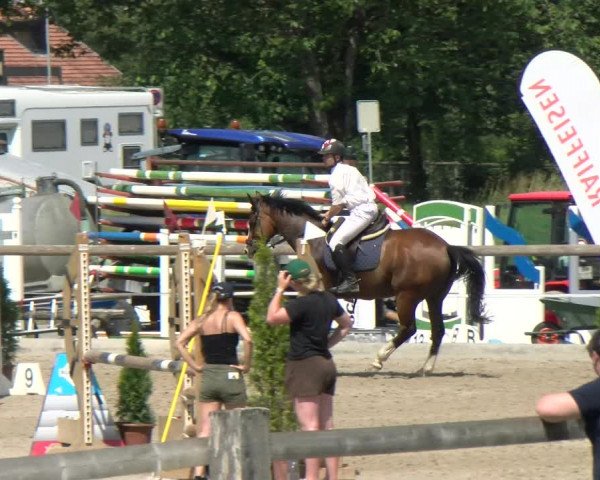 Reitturnier Sand-Schönbühl 2022