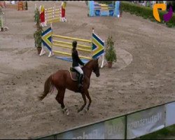 jumper Bold Action (KWPN (Royal Dutch Sporthorse), 2006, from Vadermus)