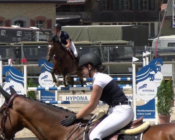 Reitturnier Sand-Schönbühl 2022