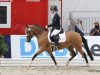 broodmare Classic Charleen J (German Riding Pony, 2008, from Classic Dancer I)