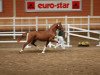 dressage horse Laredo 210 (Rhinelander, 2010, from Lord Loxley I)