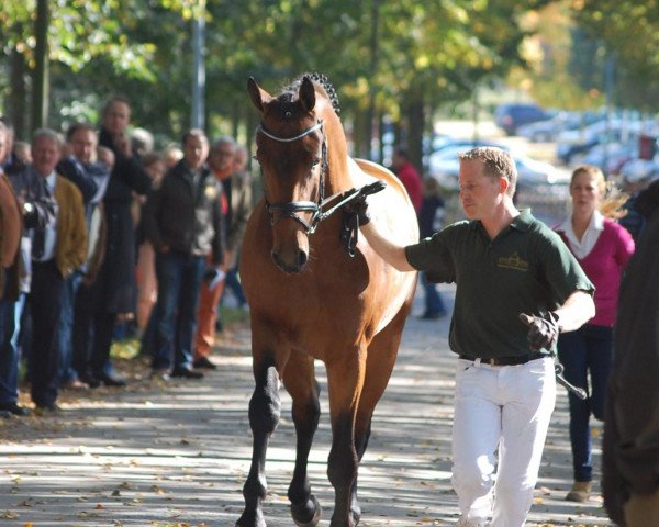 Dressurpferd Hengst von Fidertanz (Westfale, 2010, von Fidertanz)