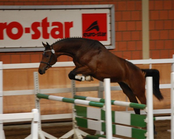 dressage horse Firefly D (Rhinelander, 2010, from Fiderstep)